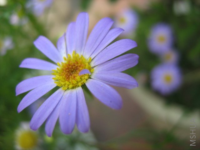 ���� 1706.jpg