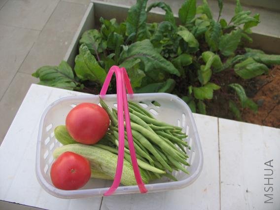 200882091329_d257dd06.jpg