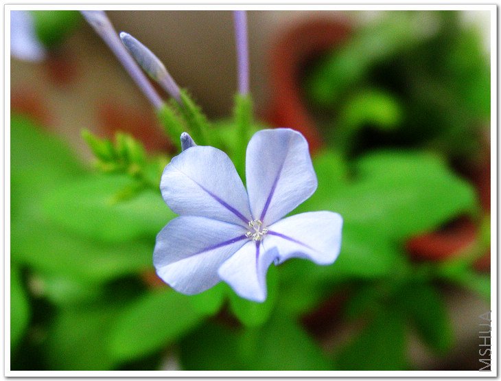 �������GG��