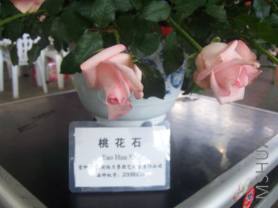 100_3983.JPG