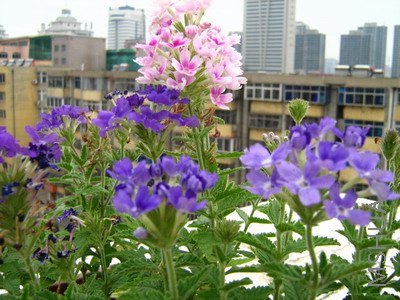 ���� 1563.jpg