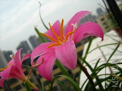 ���� 1554.jpg