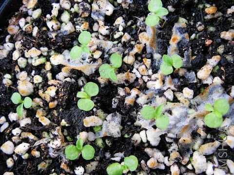 9.2ʱ�ĳ�����