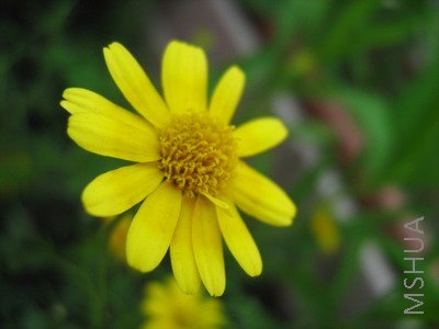 ���� 1644.jpg