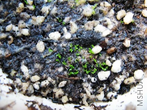 ��Ȼ��ô�࣬����Ҫ��С��ɹ����󣬹���ʣ���˶�����