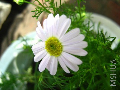 ���� 1582.jpg