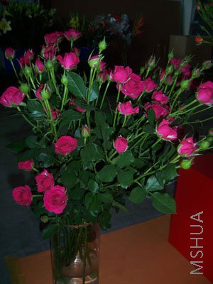 100_3964.JPG