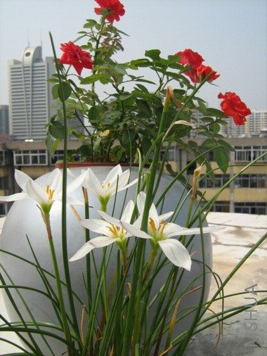 ���� 1509.jpg