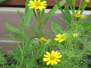 ���� 1651.jpg