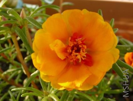 ������С 036.jpg