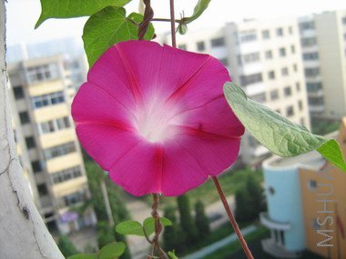 ���� 1656.jpg