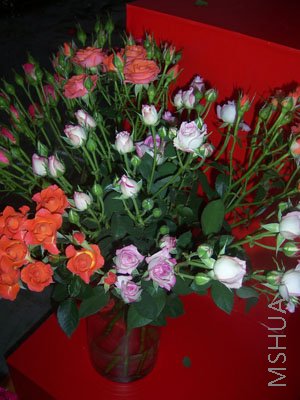 100_3965.JPG