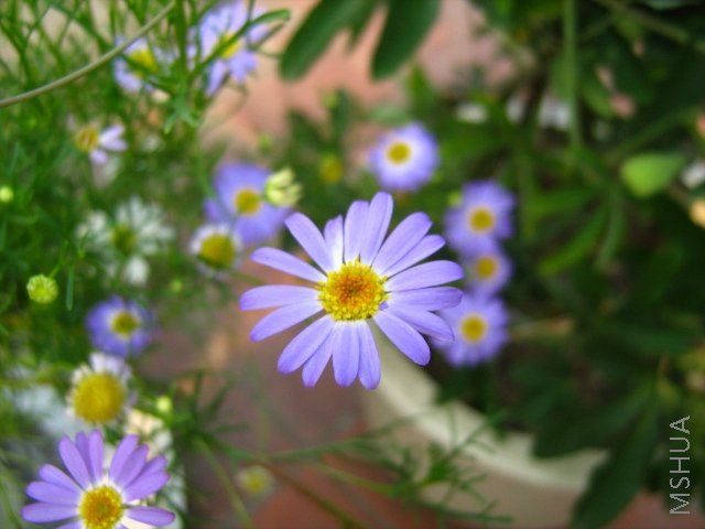 ���� 1708.jpg