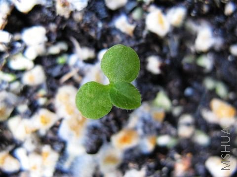 ��������~ͬʱҲ���һ�¸�λ��ȷ�����ǲ��ǳ���