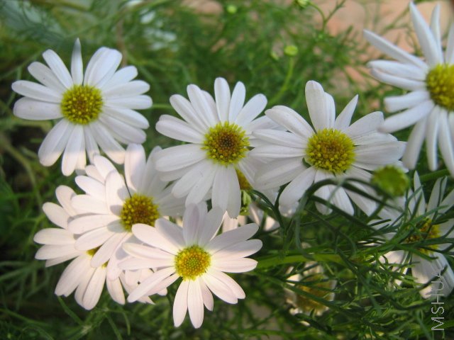 ���� 1704.jpg