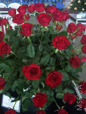 100_3986.JPG