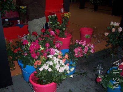100_3963.JPG