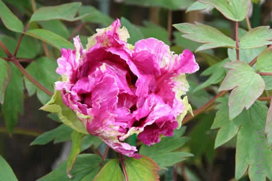 md   ʱ����.jpg