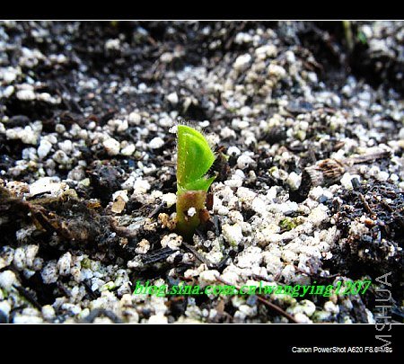 nEO_IMG_ܽ���� 005.jpg