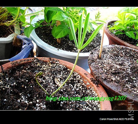 nEO_IMG_ܽ���� 007.jpg