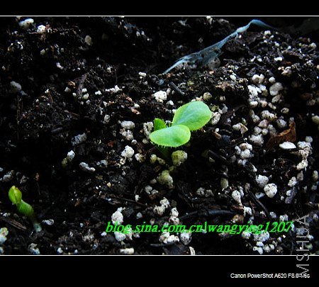 nEO_IMG_ܽ���� 002.jpg