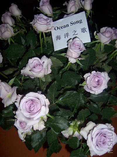 100_4072.JPG