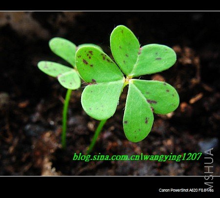 nEO_IMG_��� 103.jpg