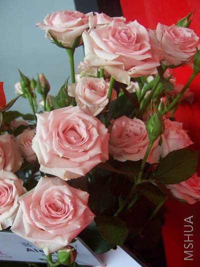 100_4012.JPG