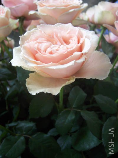 100_4042.JPG