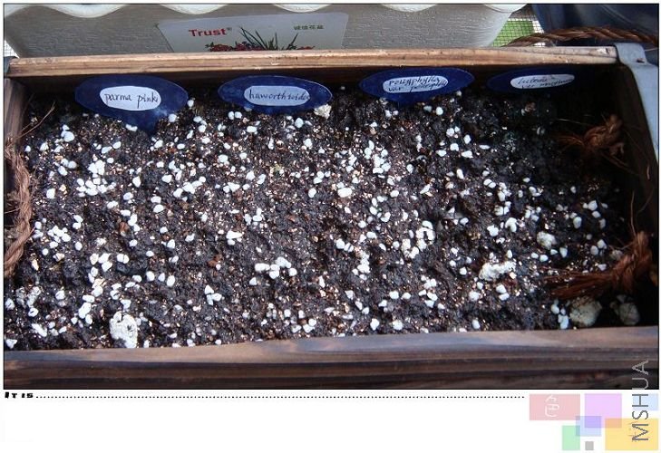 ��������ͼ