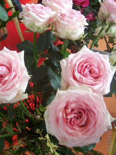 100_4019.JPG