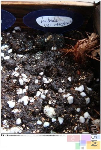 ����ֻʣһ��������