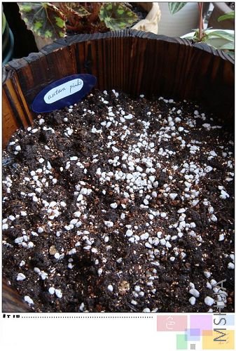 ���ֱ�ǩ���У��Ͳ�д�ˡ�����