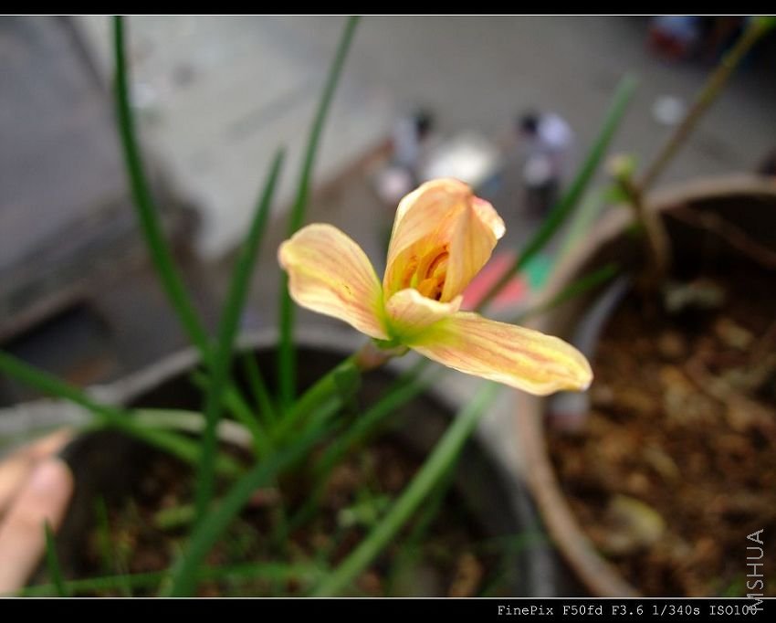 DSCF53480.jpg