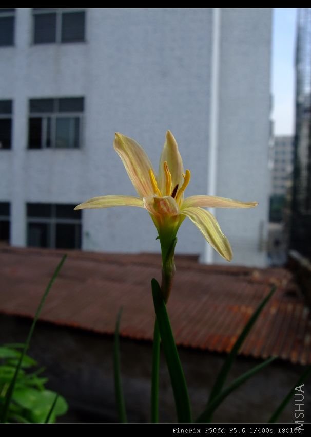 DSCF53630.jpg