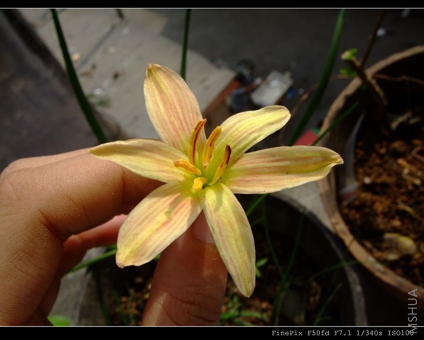 DSCF53680.jpg