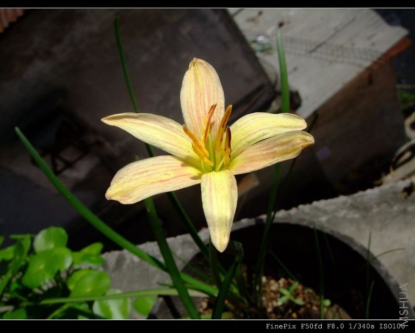 DSCF53720.jpg