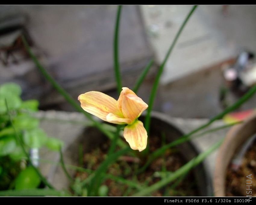 DSCF53490.jpg
