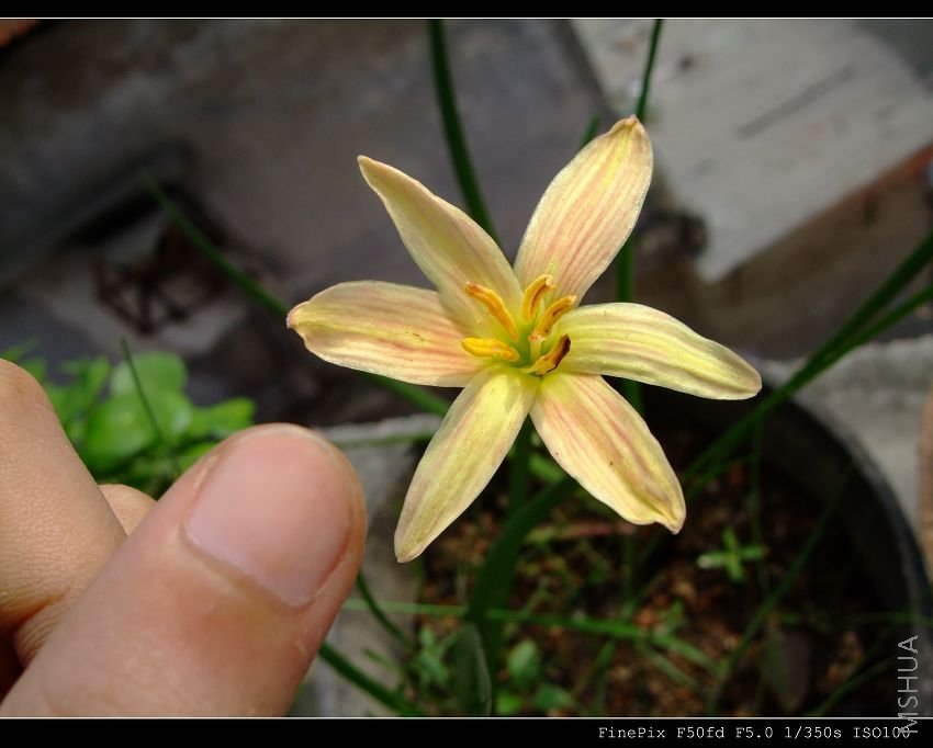 DSCF53660.jpg