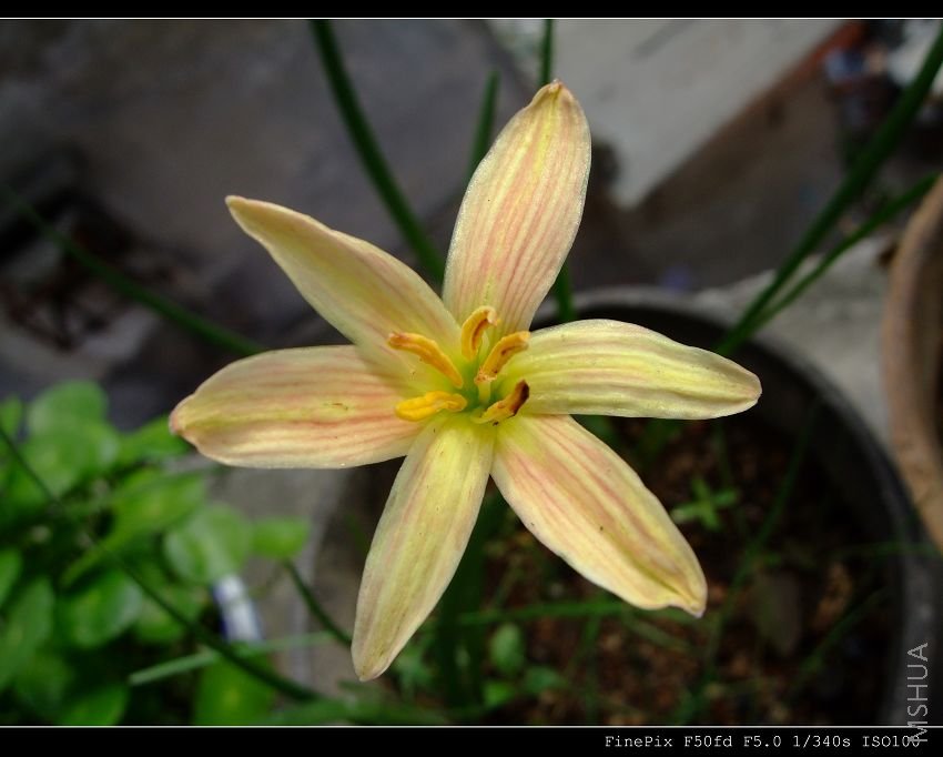 DSCF53640.jpg