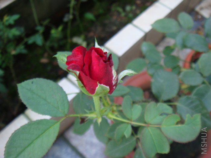 ż��¥�µĲ���ͬһ�ְ�