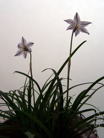 100_3351.jpg