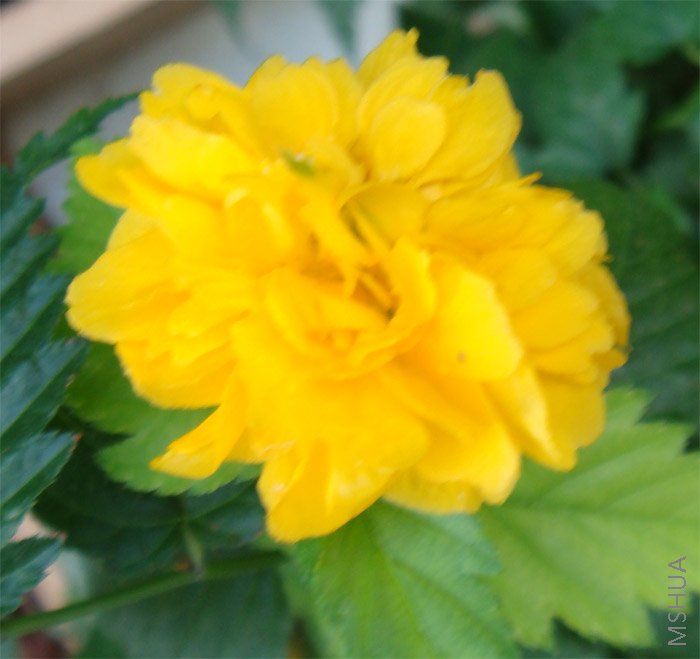 ���Խ��Խ����