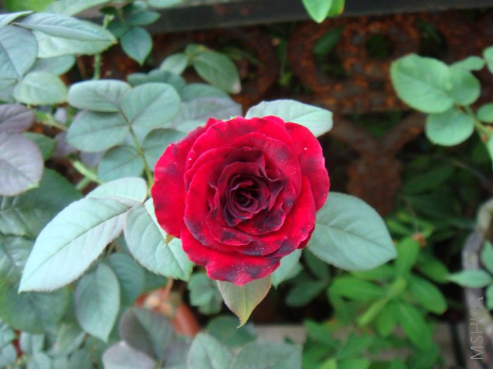 ż��¥�ϵĲ���ͬһ�ְ�