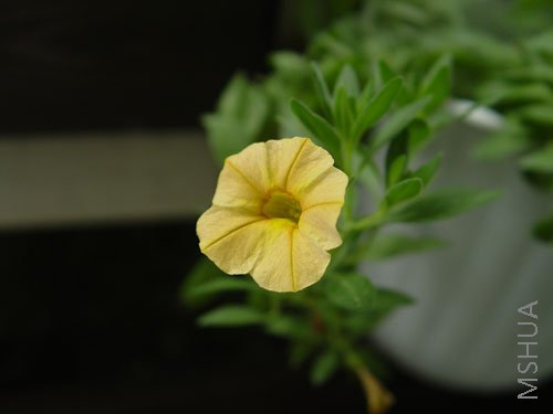 DSC00080.JPG