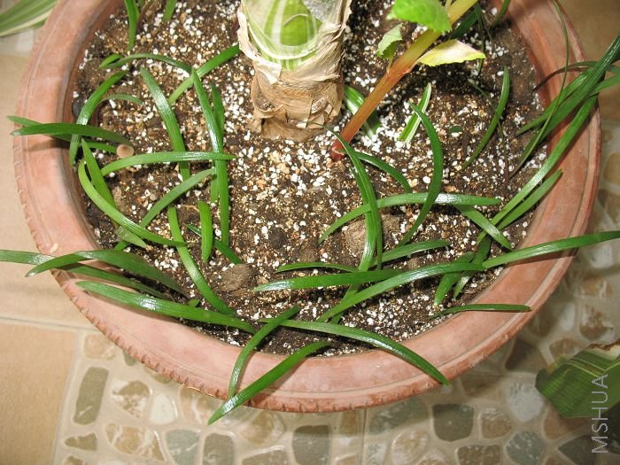 �춥����2008.8.28 (7).jpg