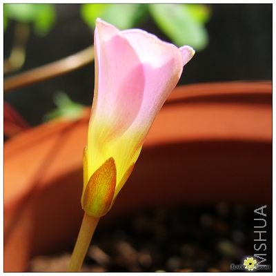 ��Ƭ 401612.jpg