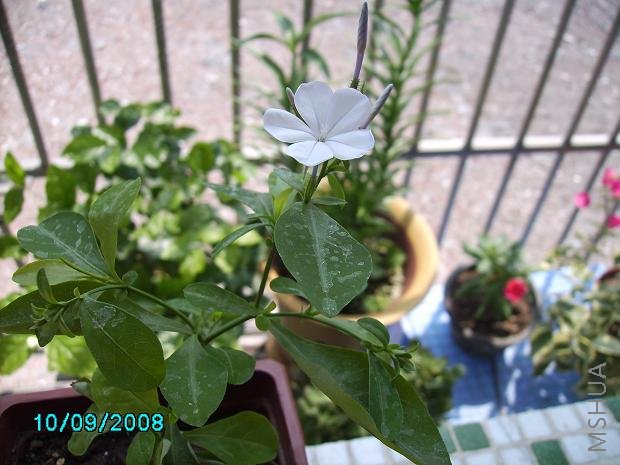 ����1��~  ������GG