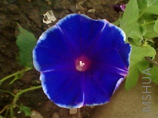 IMG0044A.jpg