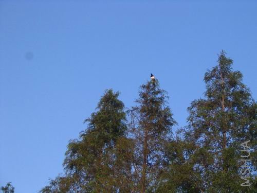 IMG_4825.jpg